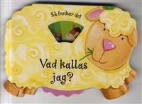 Vad kallas jag?