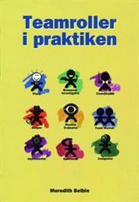 Teamroller i praktiken