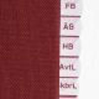 U-TAB Registerflikar till Sveriges Lagar