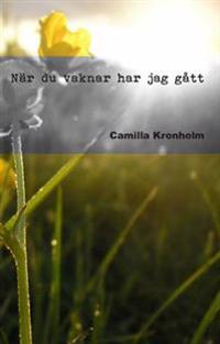 När du vaknar har jag gått