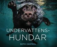 Undervattenshundar