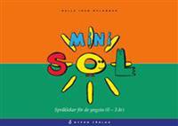 Mini-SOL