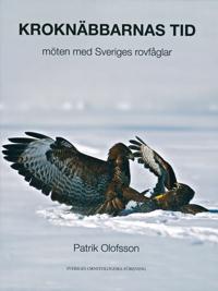 Kroknäbbarnas tid - möten med svenska rovfåglar