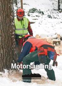 Motorsågning