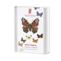 Fjärilar: Dagfjärilar: Hesperiidae-Nymphalidae klotband