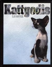 Kattgodis