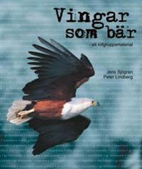 Vingar som bär : ett killgruppsmaterial