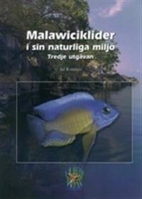 Malawiciklider i sin naturliga miljö