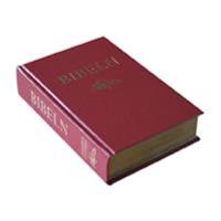 Svenska Folkbibeln (mellanformat hård pärm röd)