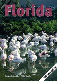 Florida Willmaguide