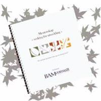 Mentorskap : verktyg för utveckling