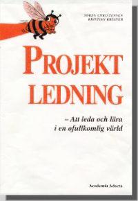 Projektledning ? Att leda och lära i en ofullkomlig värld