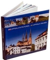 Uppsala in pictures = Uppsala i bilder