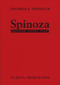 Spinoza : multitud, affekt, kraft
