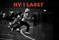 Ny i laget