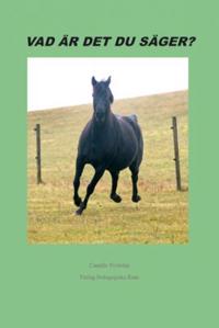 Vad är det du säger?