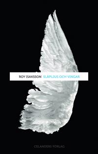 Släpljus och vingar