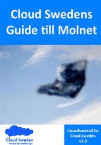 Cloud Swedens = Guide till molnet