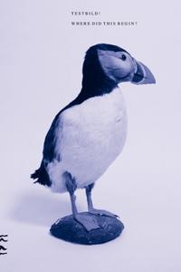 Where did this begin? : Testbild!