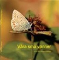 Våra små vänner : en titt in i fjärilarnas värld
