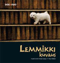 Lemmikkikuvaus