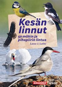 Kesän linnut - 50 mökin ja pihapiirin lintua