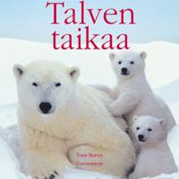 Talven taikaa