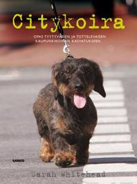 Citykoira