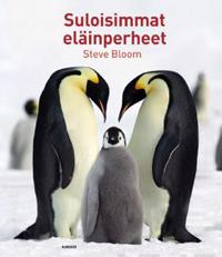 Suloisimmat eläinperheet