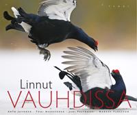 Linnut vauhdissa