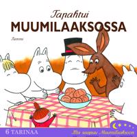 Tapahtui Muumilaaksossa (cd)