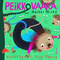 Peikkovaara