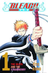 Bleach  1