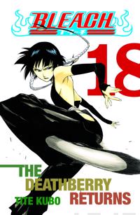 Bleach 18