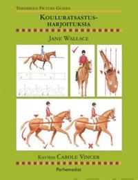 Kouluratsastusharjoituksia