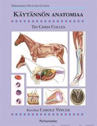Käytännön anatomiaa