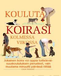 Kouluta koirasi kolmessa viikossa