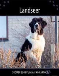 Landseer