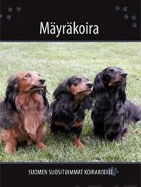 Mäyräkoira