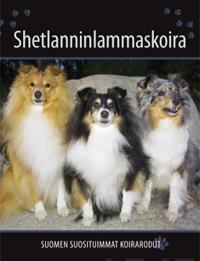 Shetlanninlammaskoira