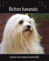 Bichon havanais