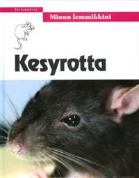 Minun lemmikkini: Kesyrotta