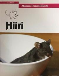 Hiiri