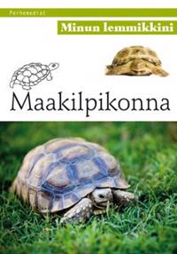 Minun lemmikkini: Maakilpikonna