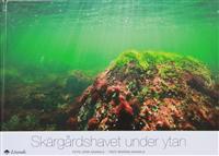 Skärgårdshavet under ytan