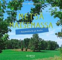 Metsä maisemassa