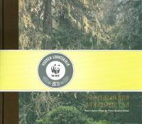 Suomalainen aarniometsä