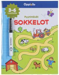 Pyyhittävät sokkelot