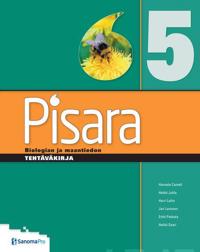 Pisara 5