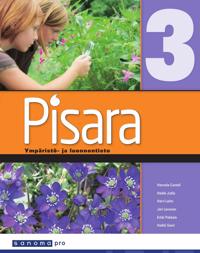 Pisara 3